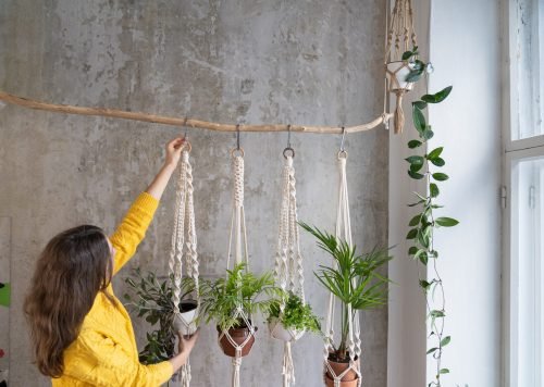 Suporte de Plantas Artesanal Macramê